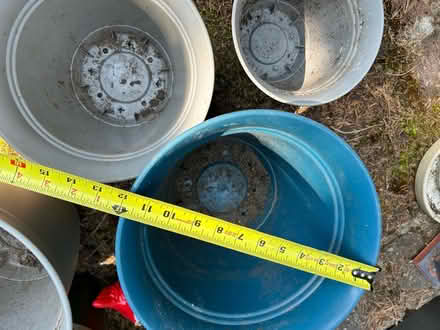 Photo of free Plastic plant pots (Lake Forest Park) #2