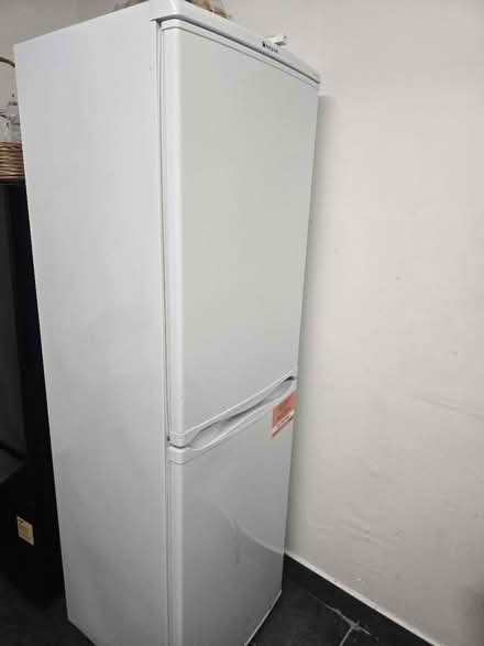 Photo of free Tall hotpot fridge freezer (BN21) #4