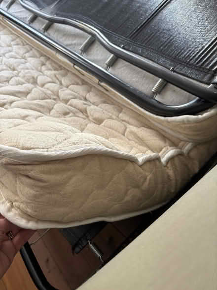 Photo of free Sleeper couch - apartment sized (East Arlington) #4