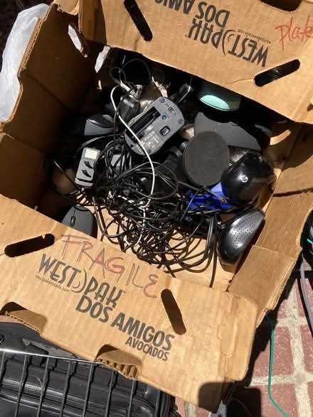 Photo of free Lots of computer mice (Foothill Boulevard Cupertino) #1