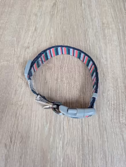 Photo of free Dog collar (Chippenham SN14) #2