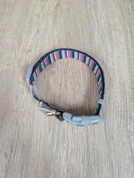 Photo of free Dog collar (Chippenham SN14) #2