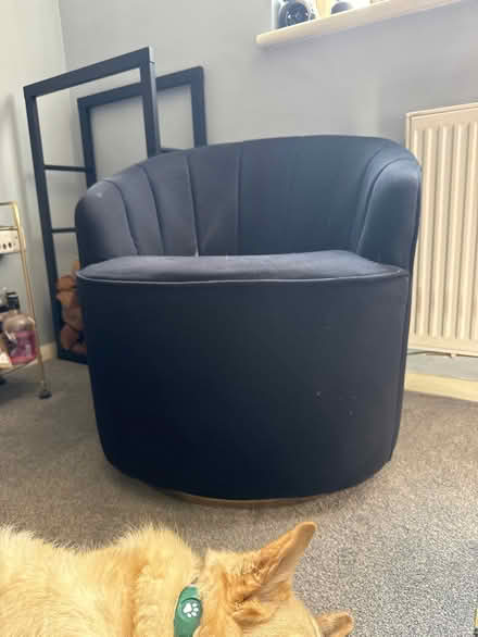 Photo of free Black velvet swivel chair (Aspley Guise MK17) #1
