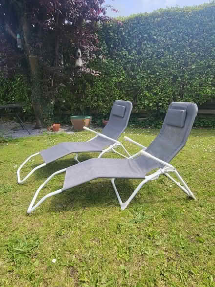 Photo of free 2 X Sun Loungers (Donnybrook Douglas) #2