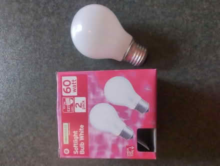 Photo of free 2x 60w screw cap (E7/ES) lightbulbs (Stockbridge EH4) #1