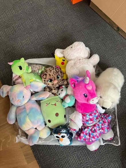 Photo of free Assorted stuffed animals (Old Town) #1