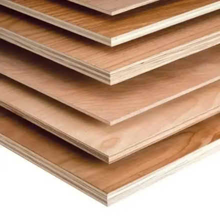 Photo of Plywood offcuts (Eastbourne BN21) #1
