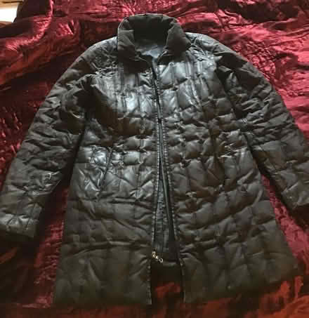 Photo of free Winter Coat (Inman Square) #1