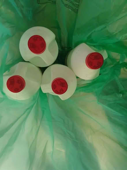 Photo of free Bleach (Tilehurst RG31) #1