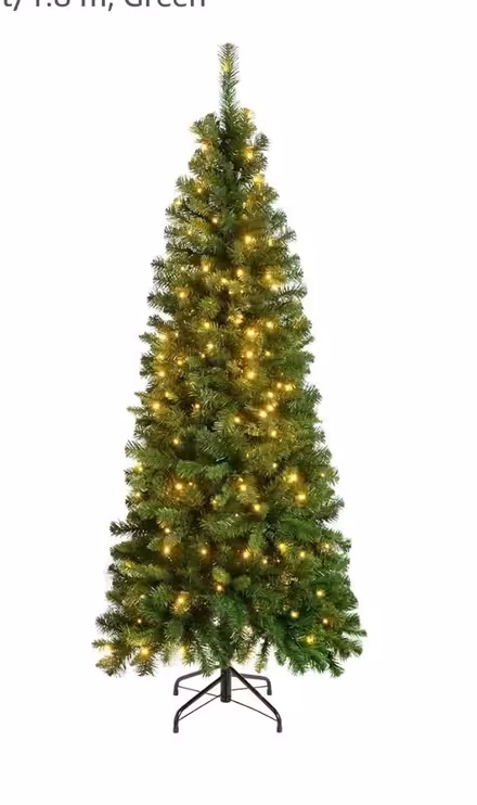 Photo of free Slim Christmas tree with lights (Dawley Bank TF4) #1