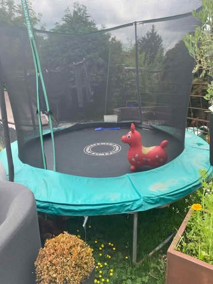 Photo of free 10ft Trampoline (Tattenhall CH3) #1