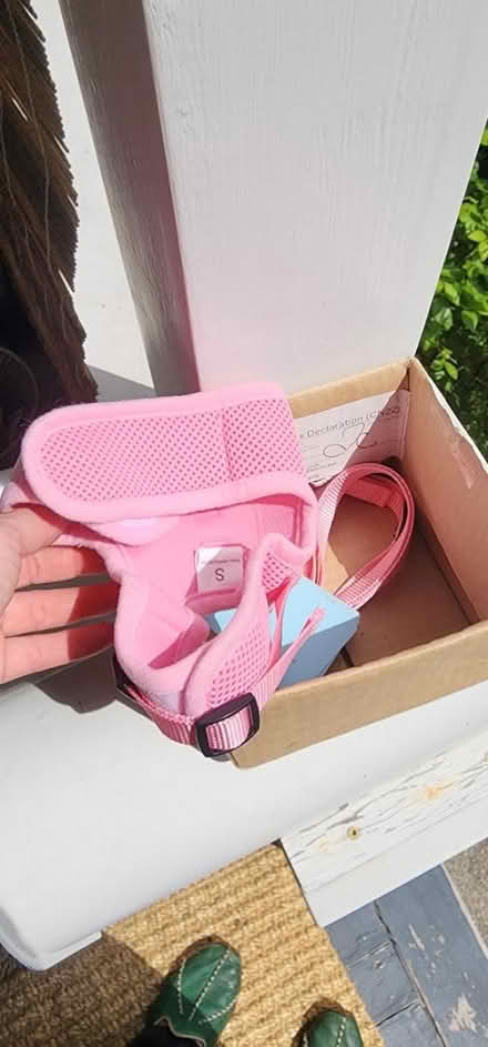 Photo of free Pink harness for SMALL pet (Maple Leaf) #2