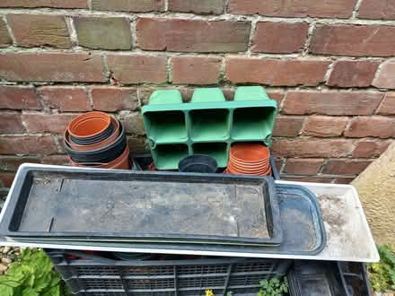 Photo of free Plant pots and trays (University Area RG1) #2