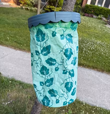 Photo of free Upside down tomato plant container (NW Aurora) #1