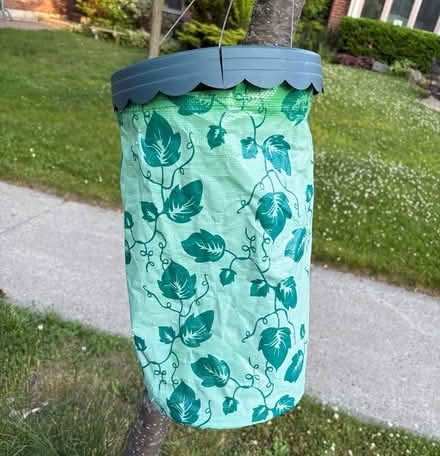 Photo of free Upside down tomato plant container (NW Aurora) #1