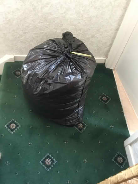 Photo of free Shredded paper (Bromsgrove B61 7) #1