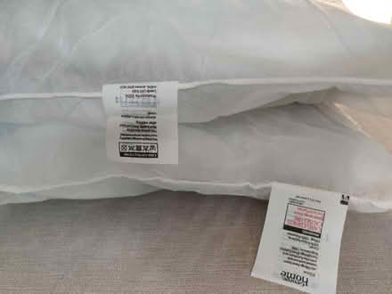 Photo of free Two pillows (Headington OX3) #1