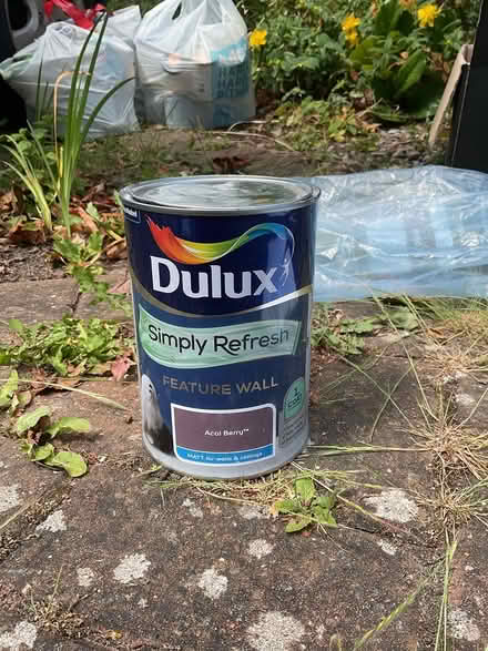 Photo of free Feature wall paint 1.25Lt (Devon Park, Bedford) #1