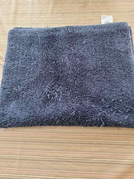 Photo of free Bath rug (South Berkeley) #1