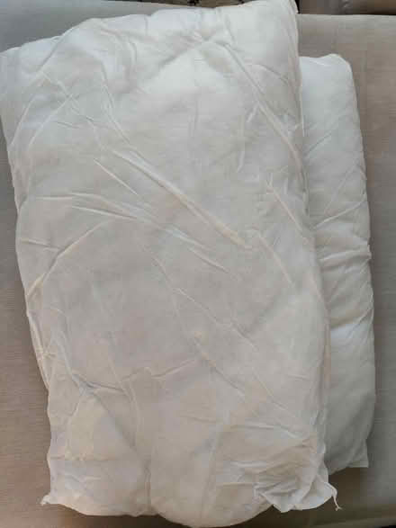Photo of free Two pillows (Headington OX3) #2