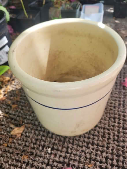 Photo of free Planter Pot (Oakland) #1