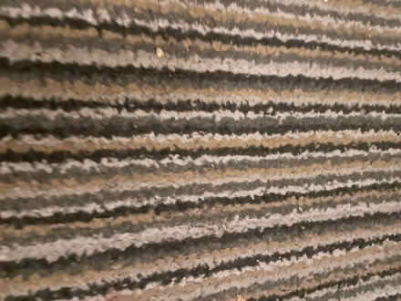 Photo of Rug/Carpet 3m x 2m (L4) #2