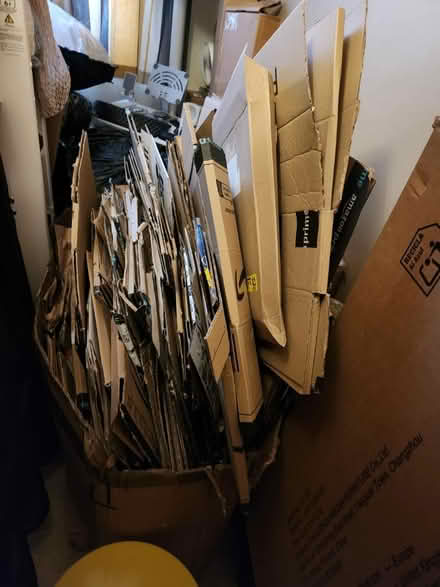 Photo of free Cardboard boxes & envelopes (Nottingham, City Centre, NG1) #1
