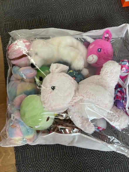 Photo of free Assorted stuffed animals (Old Town) #2