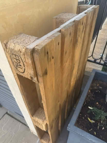 Photo of free Wood Pallet (Bathwick) #1