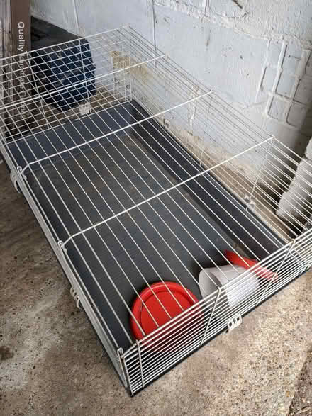 Photo of free Creature cage (Lakenham NR1) #1