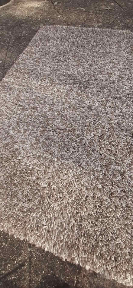 Photo of free Dunelm Thick Pile Rug (Chandlersford SO53) #3