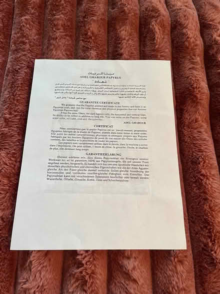Photo of free Papyrus (McKellar) #1