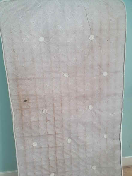 Photo of free single bed mattress (Selhurst) #2