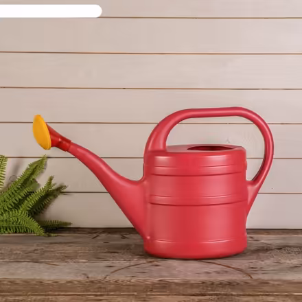 Photo of Watering can for garden (Eye,) #1