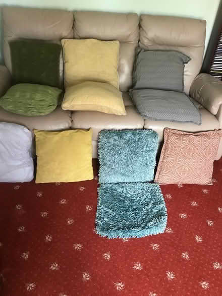 Photo of free Cushions (Bromsgrove B61 7) #1