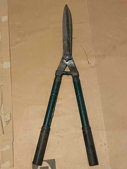Photo of free Hedge shear (Newton Aycliffe DL5) #1