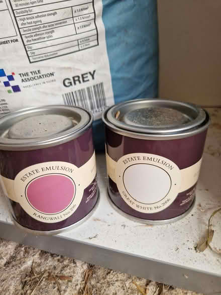 Photo of free paint (Fromefield BA11) #2
