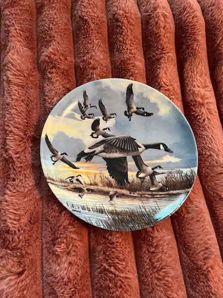 Photo of free Collector china plate (McKellar) #1