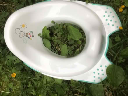 Photo of free toilet trainer seat (Crediton) #1