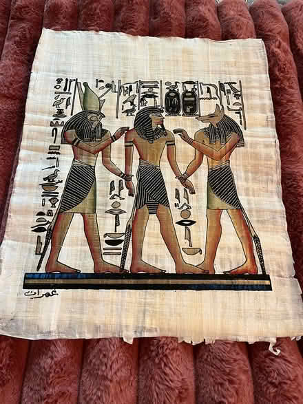 Photo of free Papyrus (McKellar) #2