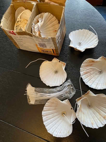 Photo of free Shells and Candle wicks (Whitton LD7) #1