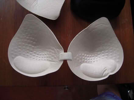 Photo of free Padded inserts for bras (Maidenhead SL6) #3