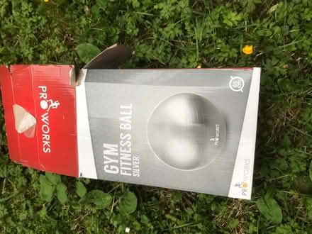 Photo of free gym fitness ball (Crediton) #1