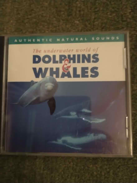 Photo of free Natural sounds CDs for relaxation (Lakenham NR1) #2