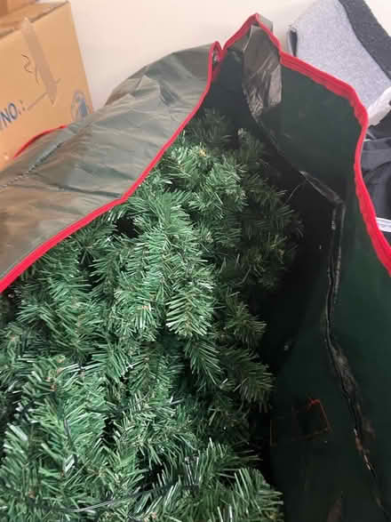 Photo of free Slim Christmas tree with lights (Dawley Bank TF4) #2