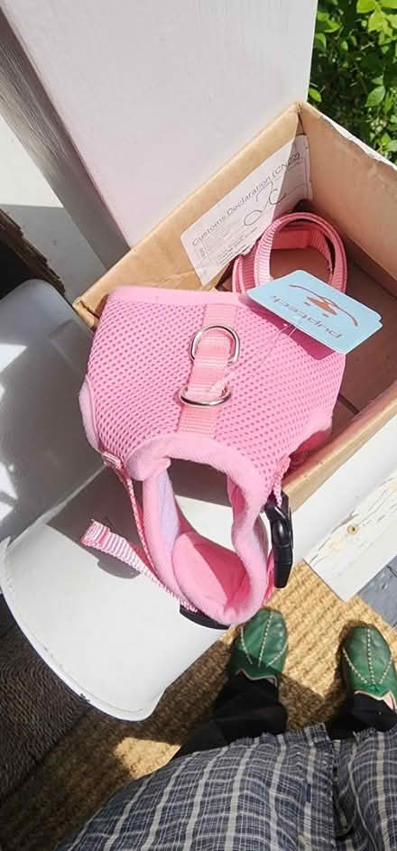 Photo of free Pink harness for SMALL pet (Maple Leaf) #1