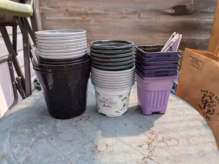 Photo of free Small plant pots (Chinatown / Little Italy) #1