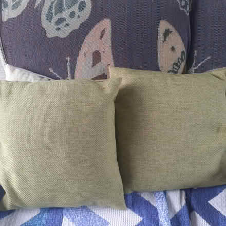 Photo of free Two green cushions, nearly new (Livingston EH54) #3