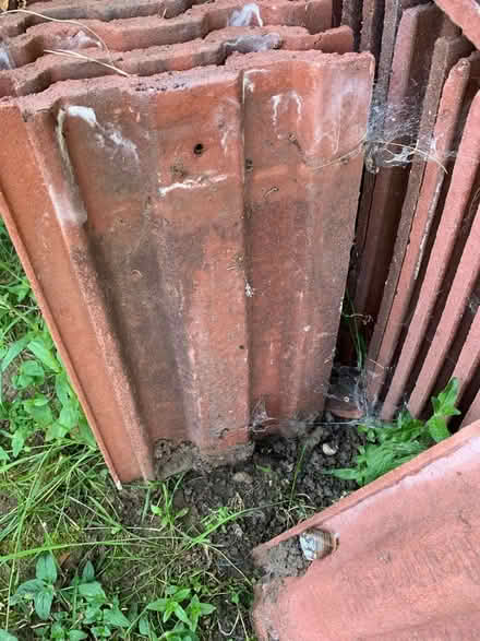 Photo of free Roof tiles nearly a large roof load (Erith DA8) #1