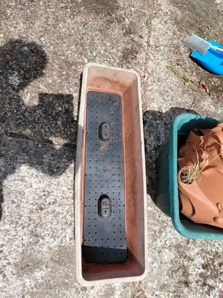 Photo of free Flower pots (Bexhill-on-Sea) #2